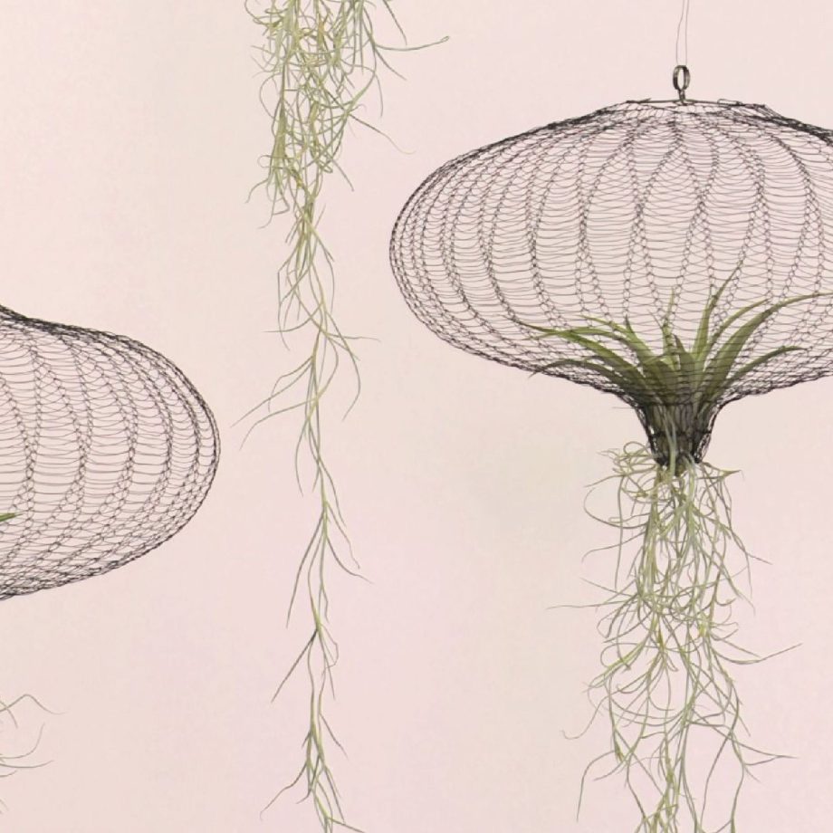 Airplanting Brass medium | Carolijn Slottje