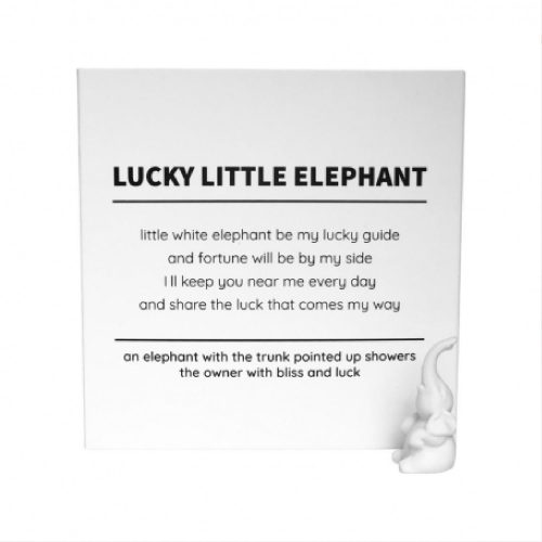 Lucky little elephant | Aprilmorning