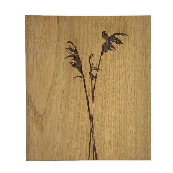 Stilleven op hout #1 | Wood Sensation