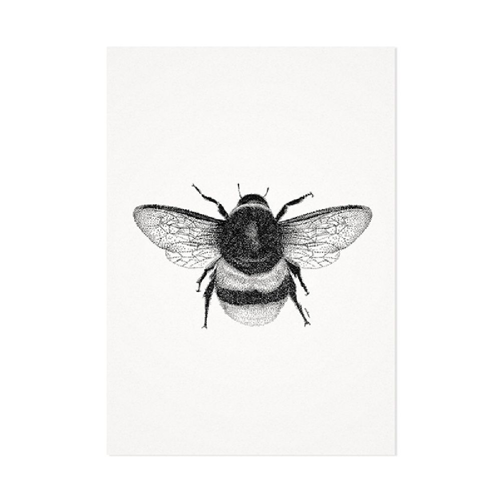 De honingbij | Mélisse
