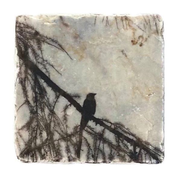 Nature Art Tiles Bird 3 | Karen Winnubst