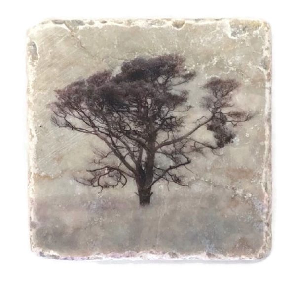 Nature Art Tiles Trees 9 | Karen Winnubst