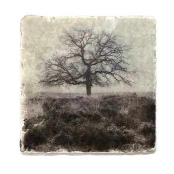 Nature Art Tiles Trees 15 | Karen Winnubst