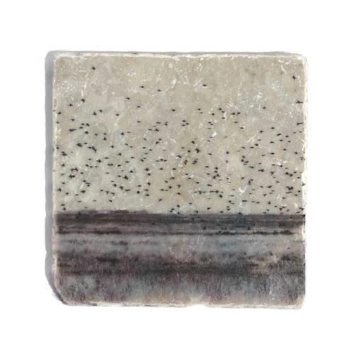 Nature Art Tiles Waddeneiland 2 | Karen Winnubst
