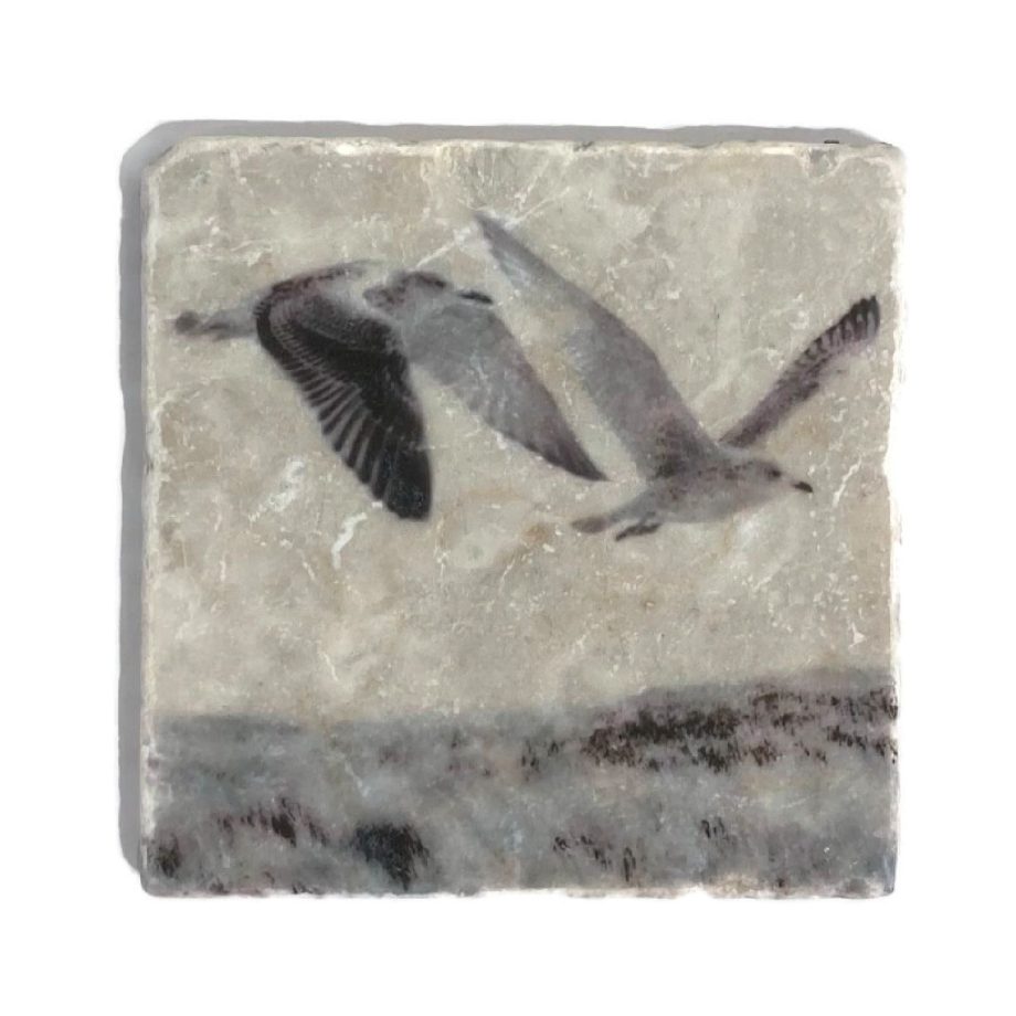 Nature Art Tiles Birds 6 | Karen Winnubst