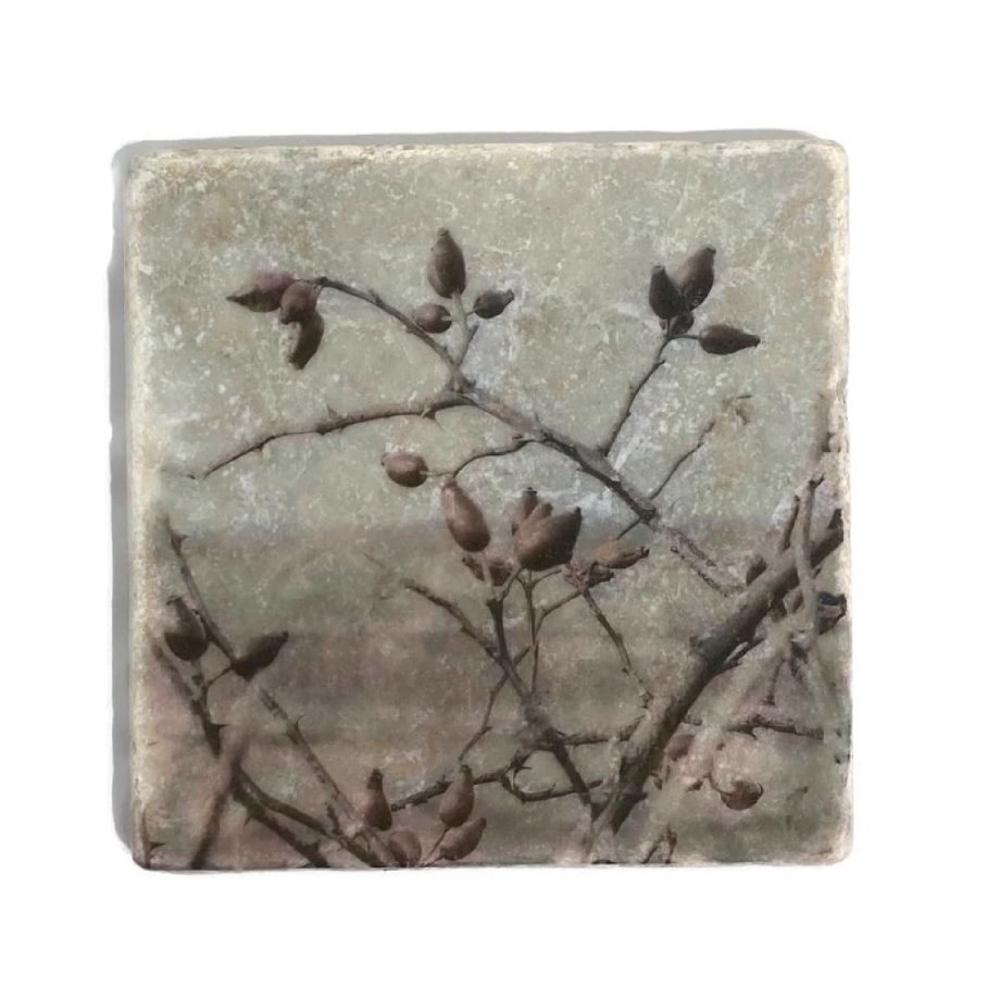 Nature Art Tiles Waddeneiland 3 | Karen Winnubst