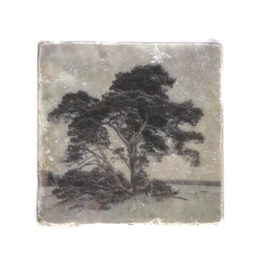 Nature Art Tiles Trees 17 | Karen Winnubst