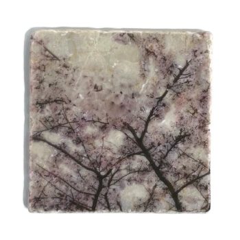 Nature Art Tiles Blossom 1 | Karen Winnubst