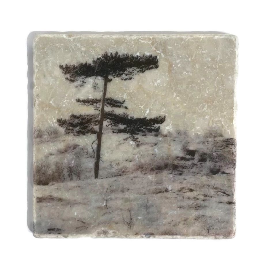 Nature Art Tiles Trees 2 | Karen Winnubst