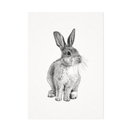Het klein zilver konijn | Mélisse