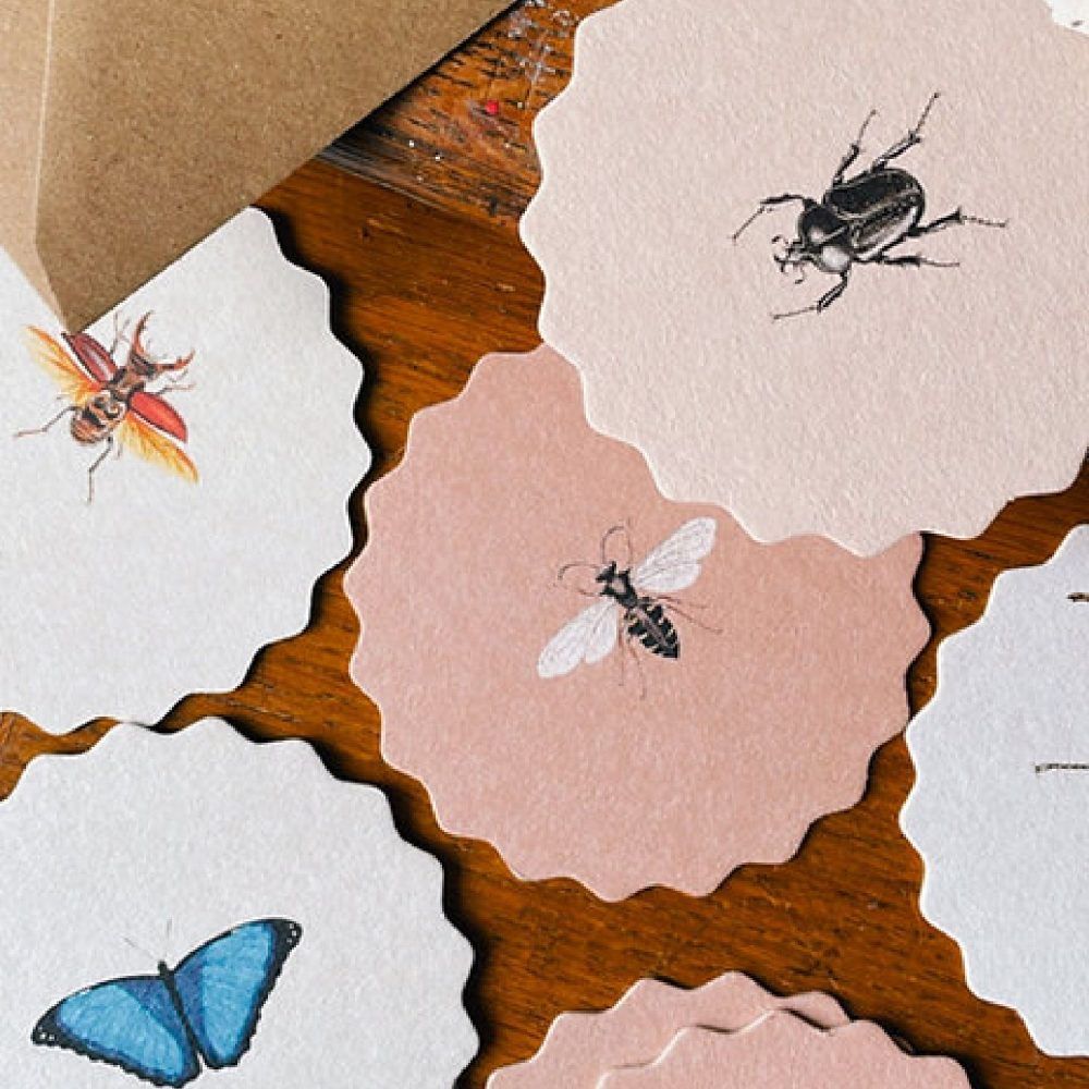 Papieren onderzetters insect | Michaela Schwarzer