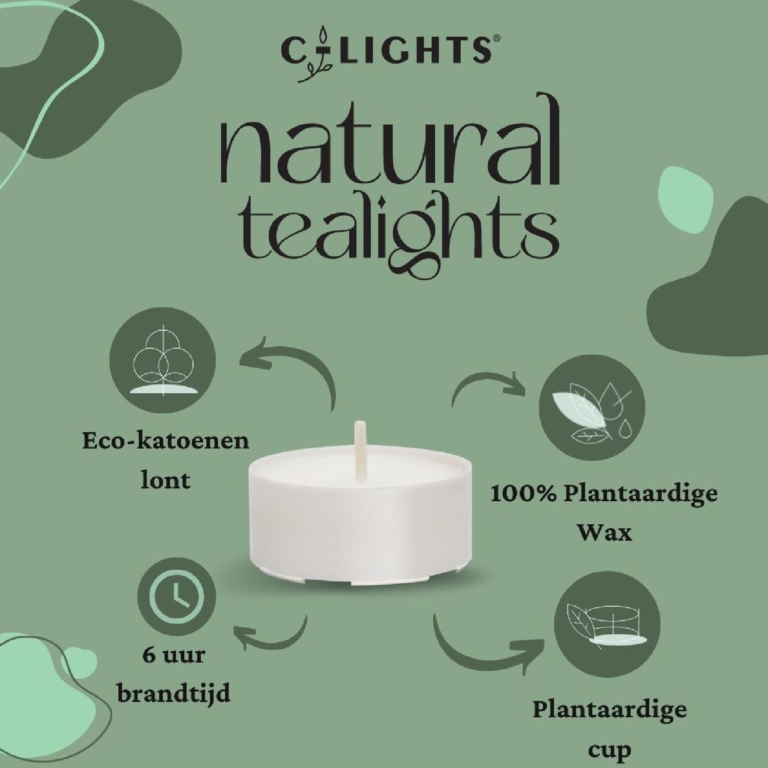 C-lights Natural Tealights | R. Knijnenburg