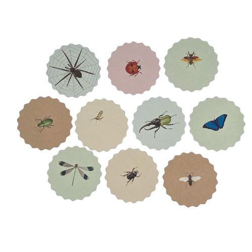 Papieren onderzetters insect | Michaela Schwarzer