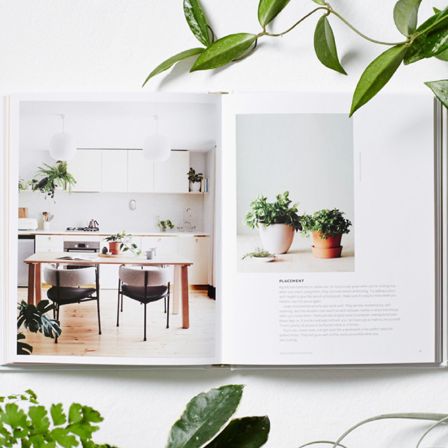 Plant Style | A. Langan & J. Vidal