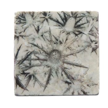 Nature Art Tiles Distel | Karen Winnubst