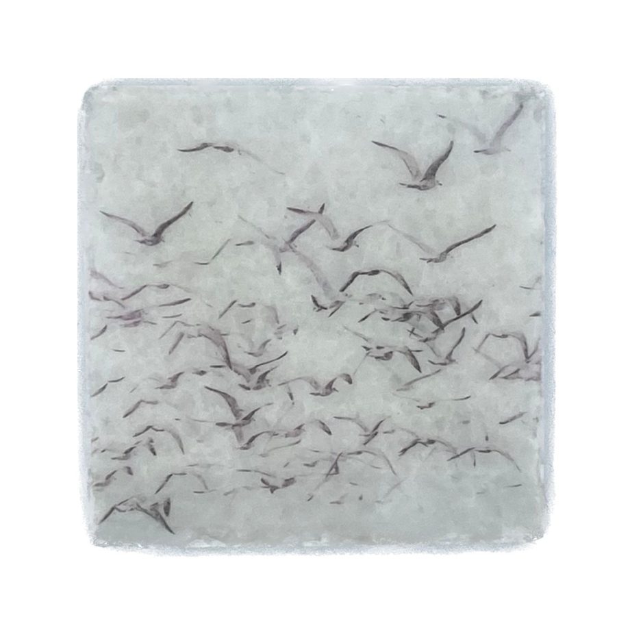 Nature Art Tiles Vogels | Karen Winnubst