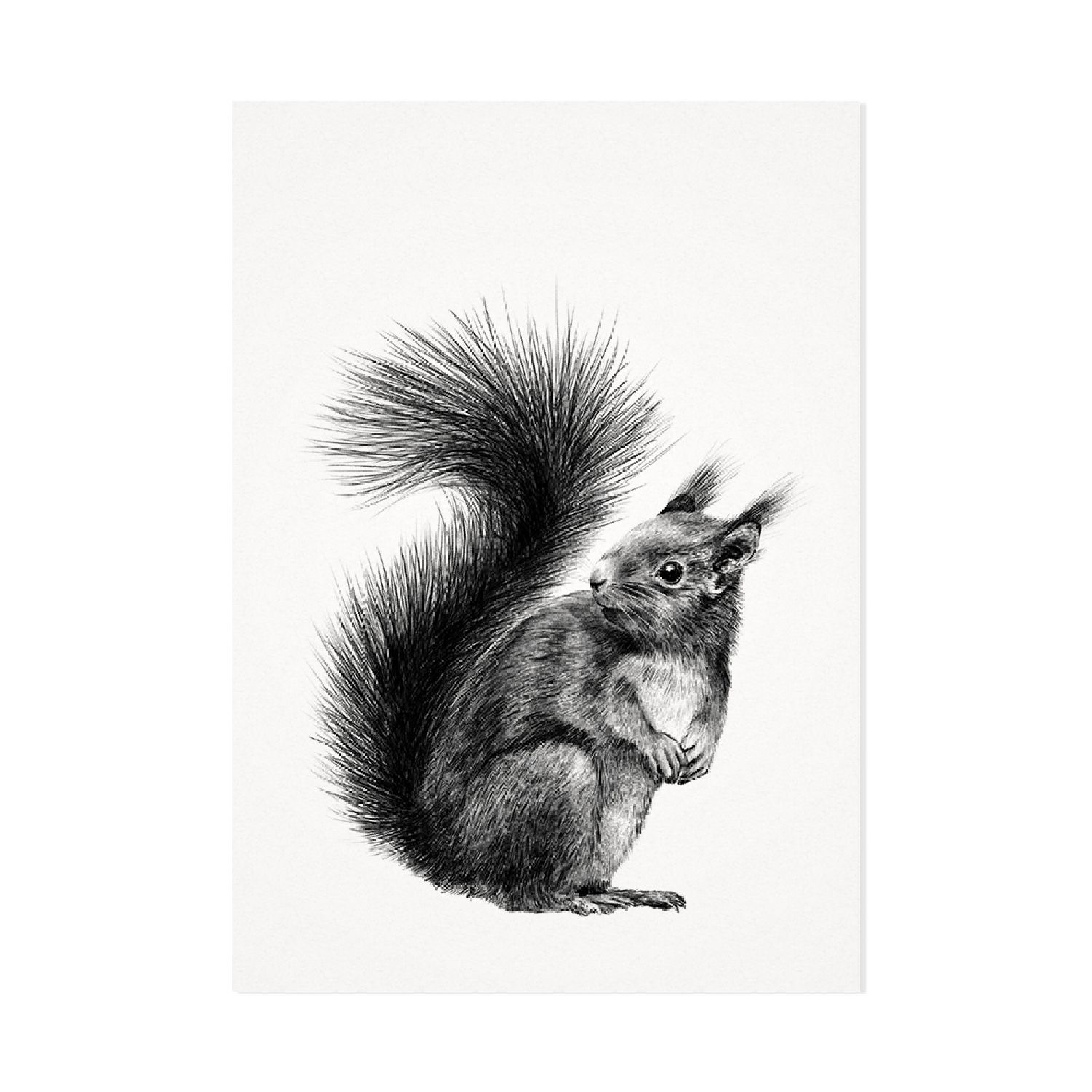 Het eekhoorntje | Mélisse