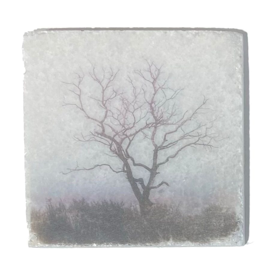 Nature Art Tiles Trees 1 | Karen Winnubst