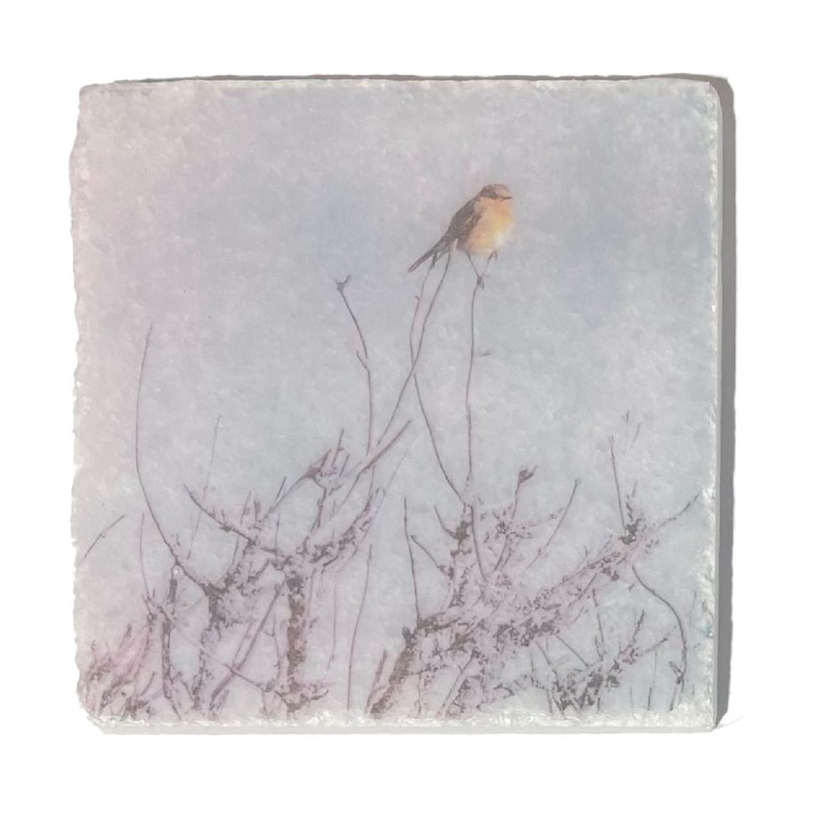 Nature Art Tiles Roodborstje | Karen Winnubst