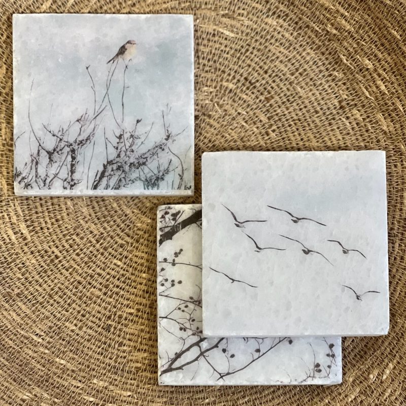 Nature Art Tiles Roodborstje | Karen Winnubst