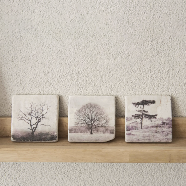 Nature Art Tiles Roodborstje | Karen Winnubst