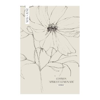 Cosmos bipinnatus 'Apricot Lemonade' | May & June