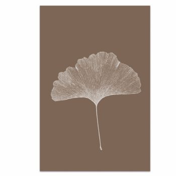 Ginkgo | Liekiwi