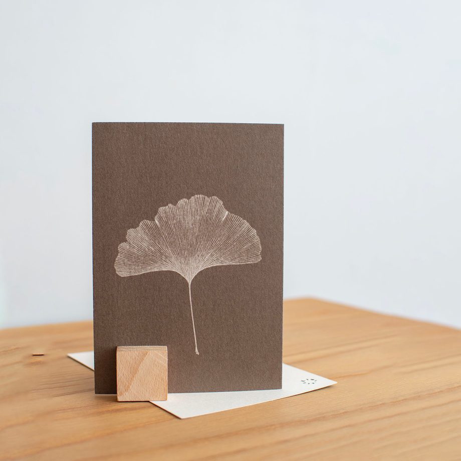 Ginkgo | Liekiwi