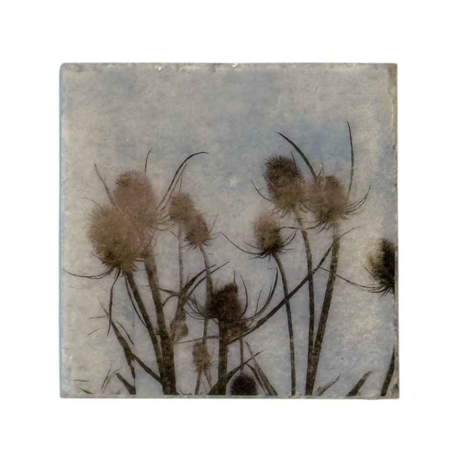 Nature Art Tile Botanica 10 | Karen Winnubst