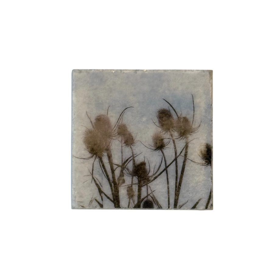 Nature Art Tile Botanica 10 | Karen Winnubst