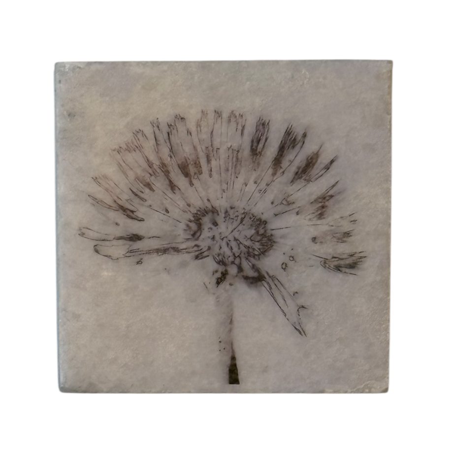 Nature Art Tile Paardenbloem | Karen Winnubst