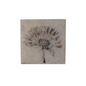 Nature Art Tile Paardenbloem | Karen Winnubst