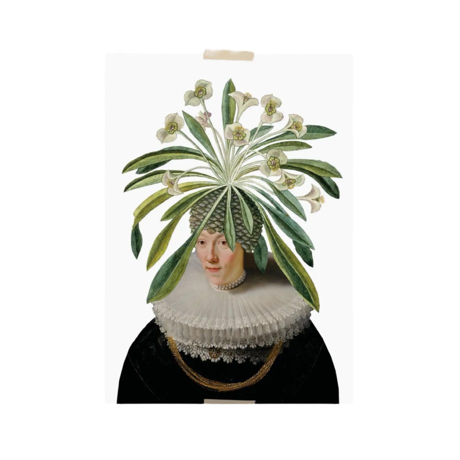 Petronella Groene Plant | Lylies