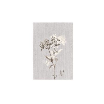Past Lives Kaart | Blooming Label