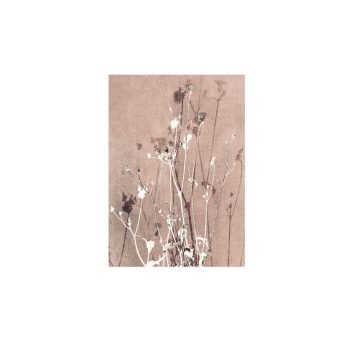 Quiet Resource Light Terra Kaart | Blooming Label