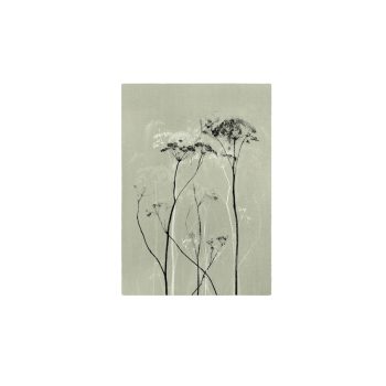 Mysterium Greenish Grey Kaart | Blooming Label