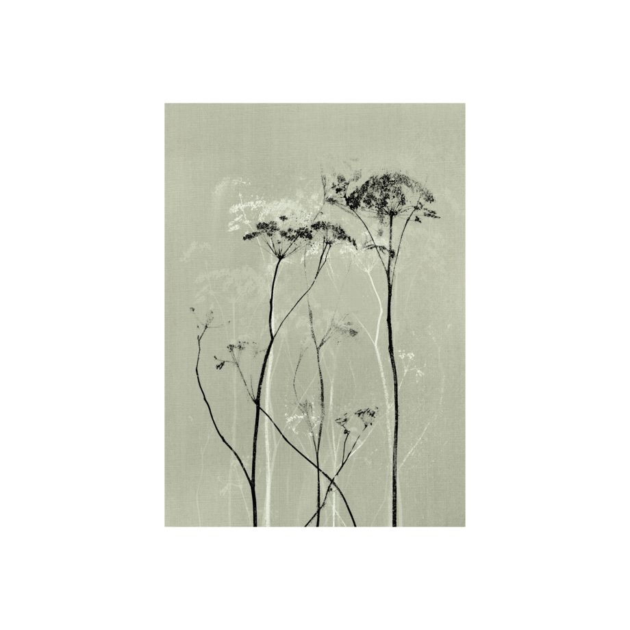 Mysterium Greenish Grey Kaart | Blooming Label