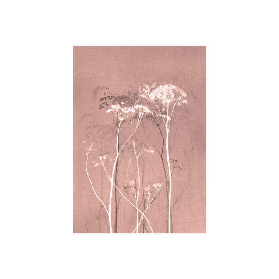 Mysterium Light Coral | Blooming Label