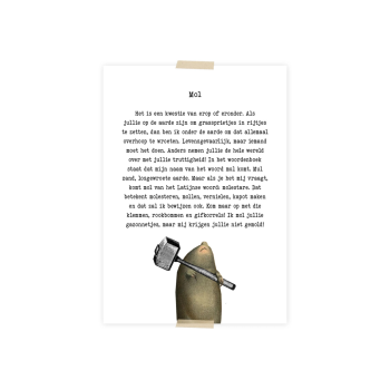 Postkaart Mol | Lylies