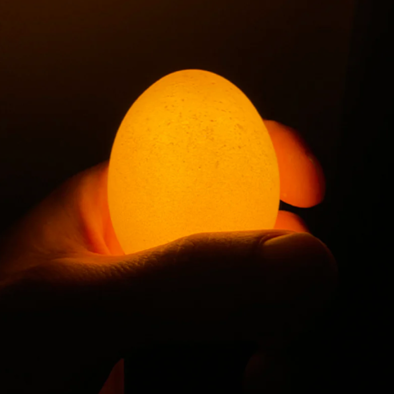 Eilamp Bruin | Egglamp