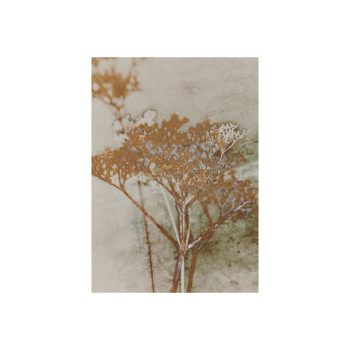 No Man's Land Kaart | Blooming Label