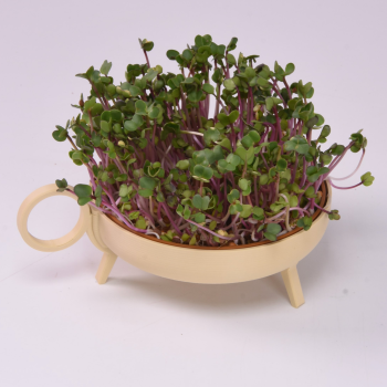 Secondary product image