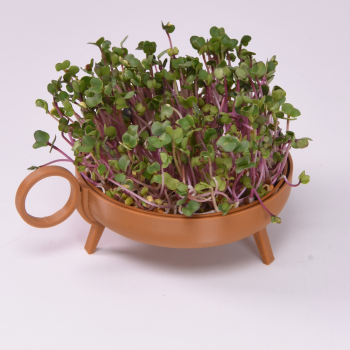 Secondary product image