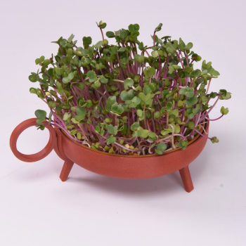 Secondary product image