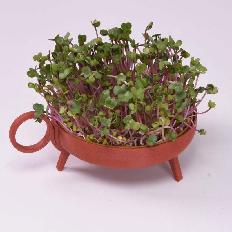 Sprouting Planter Red | Studio Harm en Elke