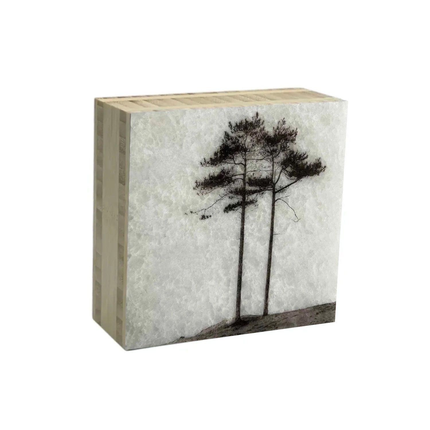 Block bomen 23 | Karen Winnubst