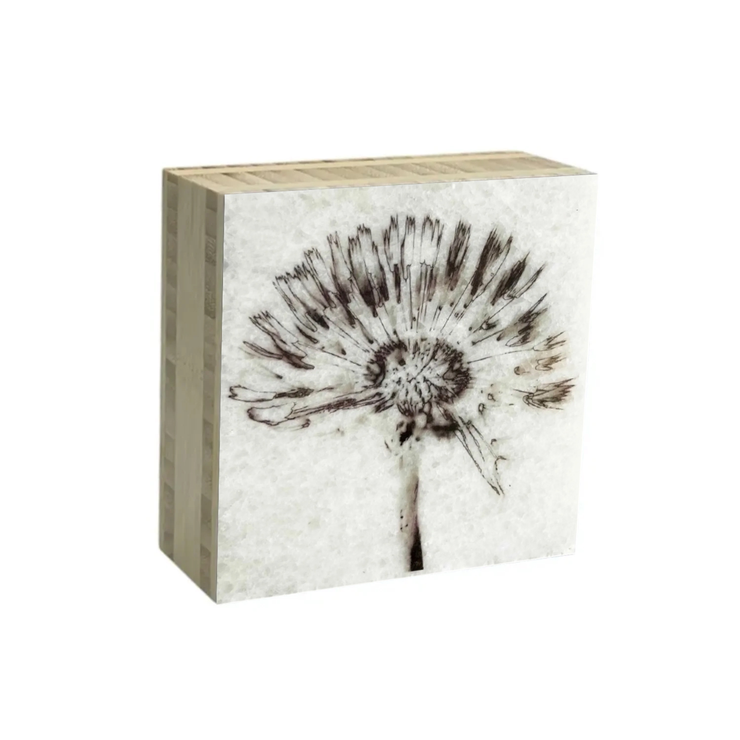 Block paardenbloem 18 | Karen Winnubst