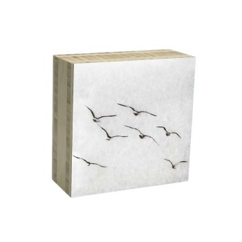 Block Vogels 12 | Karen Winnubst