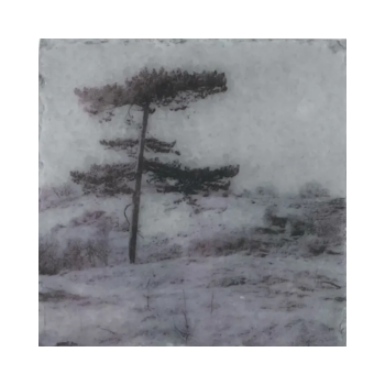 Nature art tiles trees 2 | Karen Winnubst