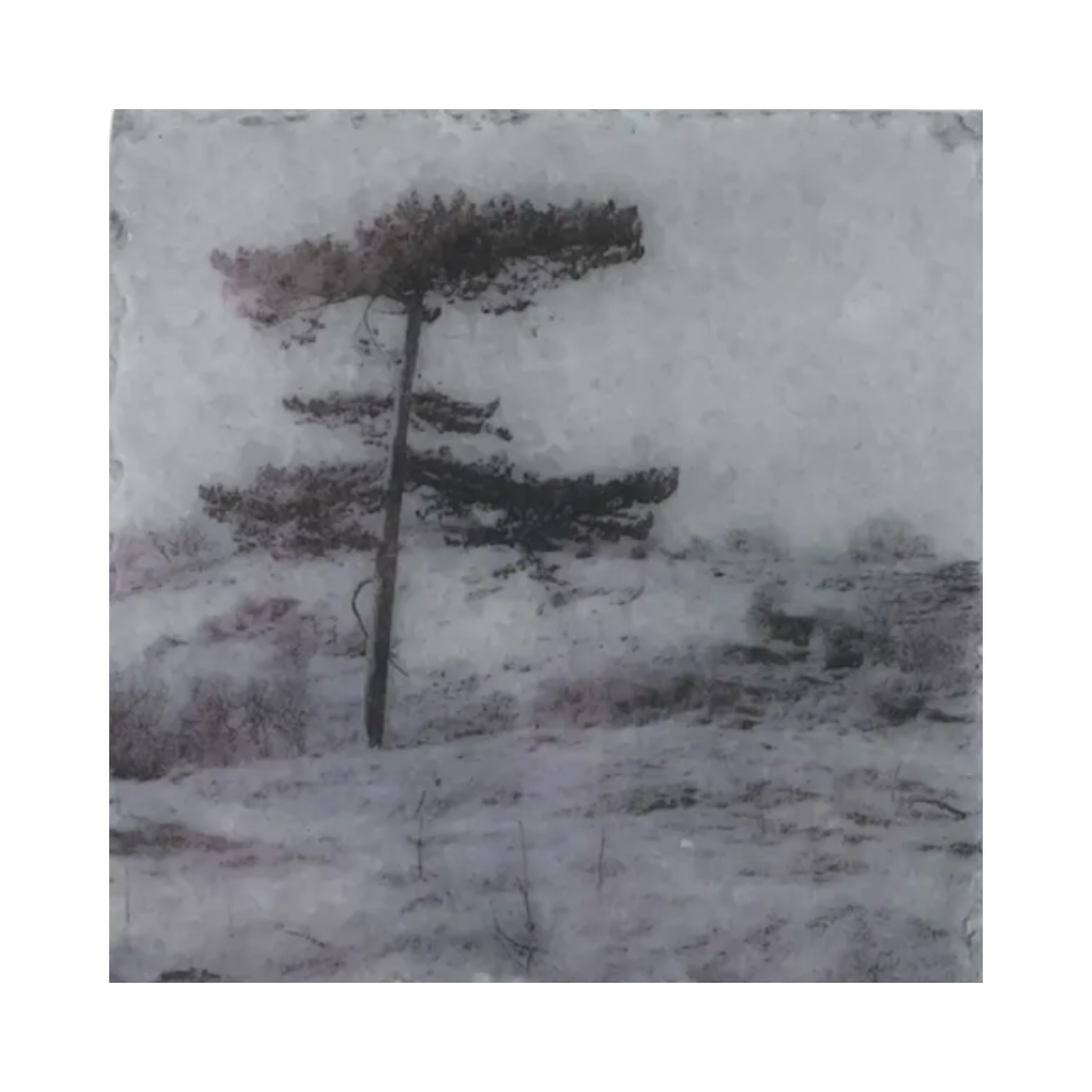 Nature art tiles trees 2 | Karen Winnubst